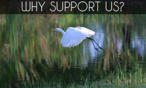 Why Support Us?